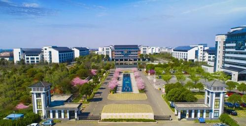 全国城建培训中心：专业人才培养基地，助您快速提升城建技能，解决职业发展难题