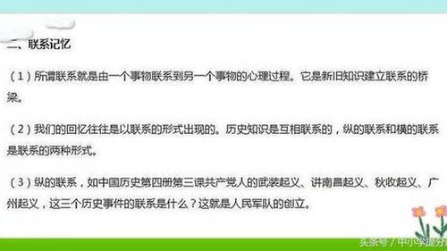 黄星符号的演变与黄星花种植指南：从历史记忆到自然美学