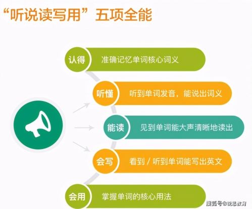 英语点津：个性化英语学习平台，轻松提升听说读写能力