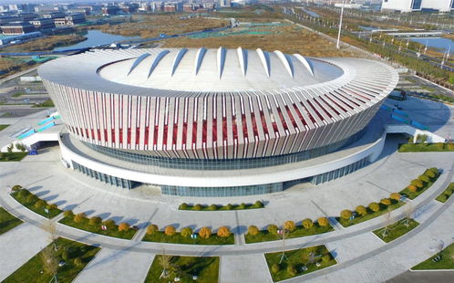 上海尚德实验学校全解析：招生政策、学费标准、课程特色与办学成果一站式指南