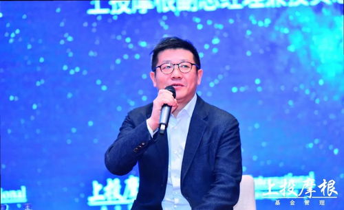 张振的成长之路：从技术痴迷到行业领袖的蜕变历程