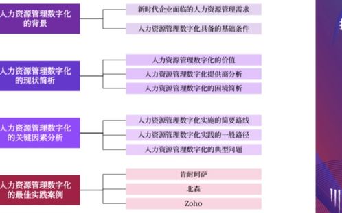 时代光华培训体系全解析：实战能力提升与个性化定制方案，助你高效成长