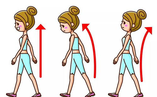 形体课：优雅姿态养成指南，告别不良体态，轻松提升气质与健康