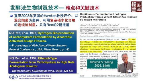 掌握强调句型：让你的关键信息脱颖而出，沟通更高效