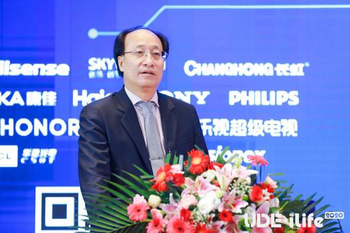 刘运的成长与成功之路：从江南水乡到行业领袖的智慧启示