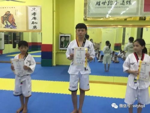 跆拳道等级全解析：从白带到黑带段位，轻松掌握晋升之路