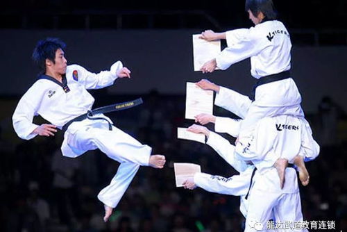 跆拳道等级全解析：从白带到黑带段位，轻松掌握晋升之路