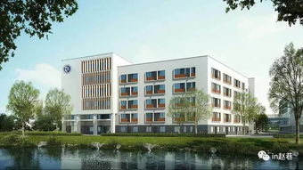 协和双语学校：融合中西教育精华，打造孩子通往世界的文化桥梁