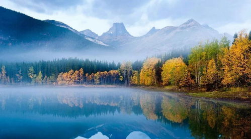 马驰艺术生涯全解析：从涓涓细流到波澜壮阔的创作之路