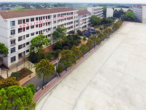 益阳职业技术学院怎么样？全方位解析校园环境、专业优势与就业前景，助你轻松择校