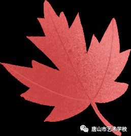 唐山工业职业技术学院官网：一站式了解招生政策、专业设置与校园生活，轻松规划职业教育之路