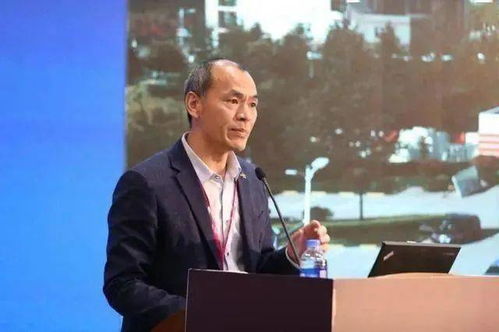 刘云峰职业成长与成功秘诀：从技术专家到行业领袖的完整路径