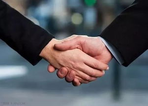 接待礼仪全攻略：掌握商务、国际与特殊场合的接待技巧，轻松提升专业形象与客户满意度