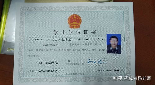 大专有哪些专业？2024最全专业选择指南，帮你找到最适合的职业方向