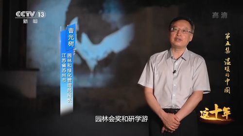 徐琦：从江南水乡到AI领军者的成长之路，揭秘她如何用技术解决现实难题