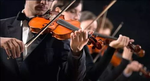 小提琴好学吗？揭秘学习难度与轻松上手的实用技巧