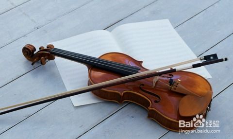 小提琴好学吗？揭秘学习难度与轻松上手的实用技巧