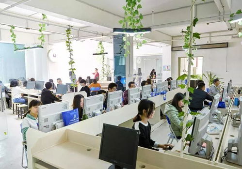 技术培训：从传统教室到AI个性化学习，助你轻松掌握未来技能