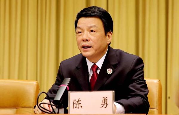 王国庆：从基层到高层的务实成长与政策成就全解析