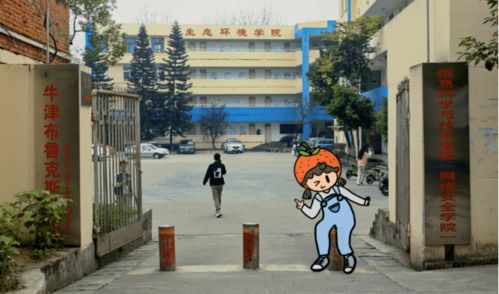 艺考培训学校全攻略：如何选择最适合你的艺术殿堂桥梁，轻松备战艺考