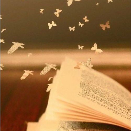 陈成：从平凡到不凡的成长之路，揭秘坚持与平衡的人生智慧