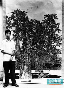 乔宇：从江南水乡到文学巨匠的成长之路与创作心法