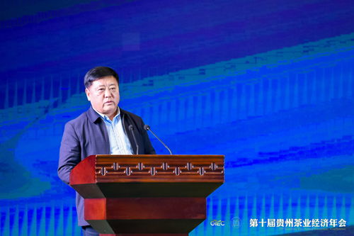 周旭：从普通程序员到行业领军人物的成长之路，揭秘如何通过坚持与热爱实现卓越突破