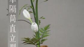 花艺培训：从零开始轻松掌握插花技巧，开启与花为伴的快乐职业生涯