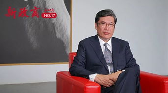 陈功：从金融风险专家到行业领袖的职业成长与安邦事件深度解析