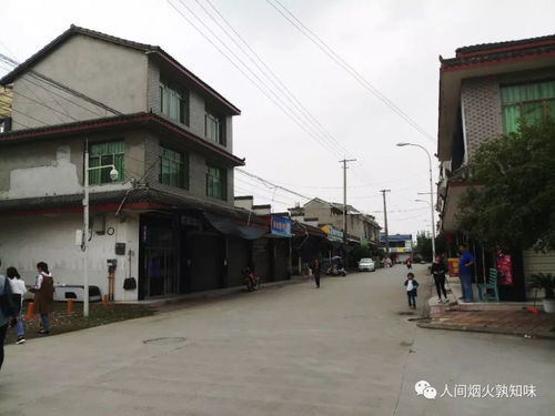 梁晶晶：从普通家庭到国际数字艺术大师的成长之路与代表作解析