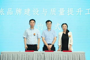 张伟杰的创意成长之路：从江南水乡到跨界设计大师的灵感与平衡智慧