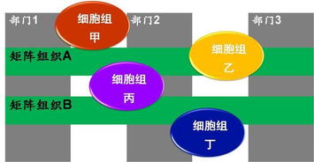 培训体系搭建全攻略：从定义到实施，轻松提升员工能力与组织绩效