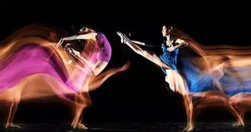 金燕特征与保护全解析：识别金色精灵，守护天空舞者