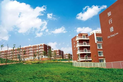 云南工程职业学院：就业率超96%的务实选择，掌握真本领开启高薪职业路