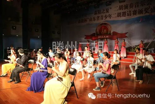 于红梅二胡艺术人生：从琴房到世界舞台的深情旅程