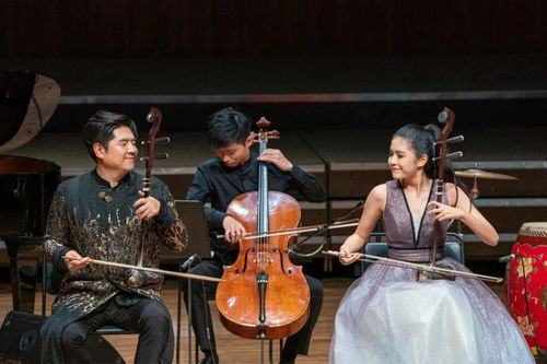 于红梅二胡艺术人生：从琴房到世界舞台的深情旅程