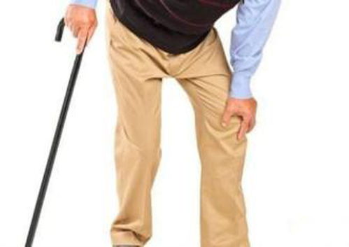 快乐的大脚：舒适不妥协的日常鞋履，解决都市人群双脚酸痛问题