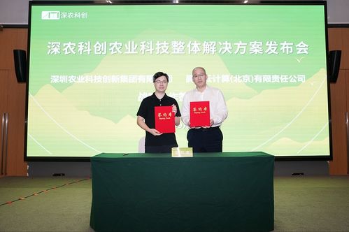 周琳：从分析师到行业领袖的职业成长与数字化转型战略