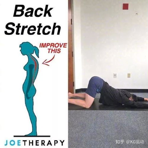 形体训练全攻略：告别驼背圆肩，轻松塑造优雅体态，缓解腰背酸痛