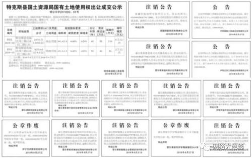 王小伟：从普通程序员到行业领军人物的成长秘诀与职业发展路径