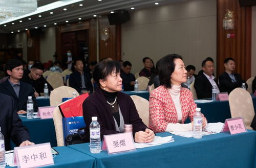 韩斌：从技术天才到行业领袖的成长之路，揭秘他的成功密码与创新思维