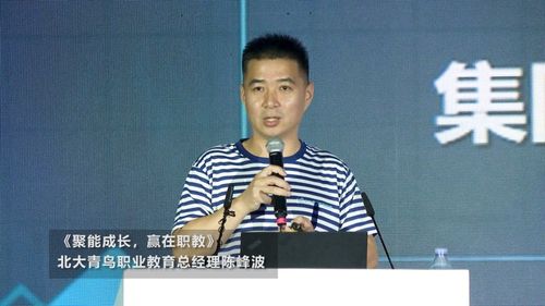 宋扬：从技术工程师到行业领袖的成长密码，揭秘专业成就背后的关键决策与创新方法