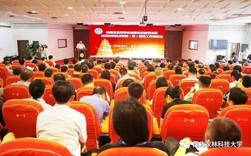 刘建林的教育改革之路：从陕西教育厅厅长看教育公平与创新实践如何让学习更轻松高效