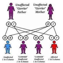 生物专业全解析：从课程设置到就业前景，助你轻松规划未来