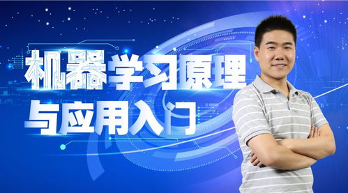 徐彬：数据科学与机器学习专家的职业历程与创新成就