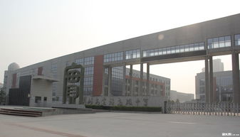 河北正定中学探访：百年学府的魅力与现代化教育体验