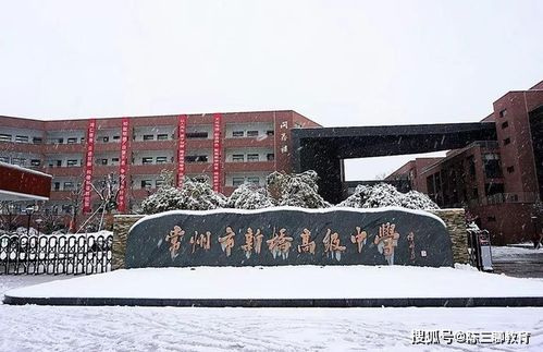 河北正定中学探访：百年学府的魅力与现代化教育体验