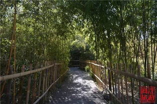 曲径通幽：从园林到生活的智慧漫步，发现未知惊喜与心灵共鸣