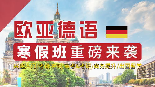 德语学习入门指南：如何高效掌握德语发音、词汇与语法，轻松开启德语之旅