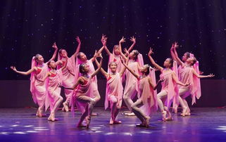 舞蹈的种类全解析：从古典到流行，轻松找到最适合你的舞蹈类型